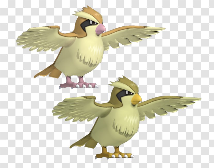 FBX Pokémon GO 3D Computer Graphics Ducks, Geese And Swans - 3d Modeling - Pidgey Transparent PNG