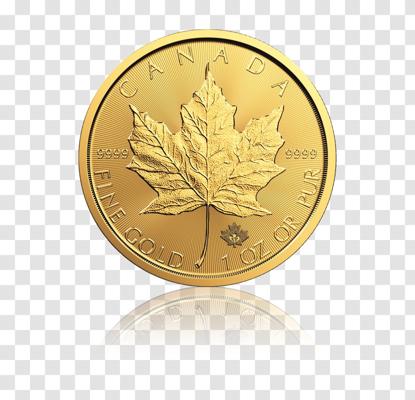 Canadian Gold Maple Leaf Silver Bullion Coin Transparent PNG