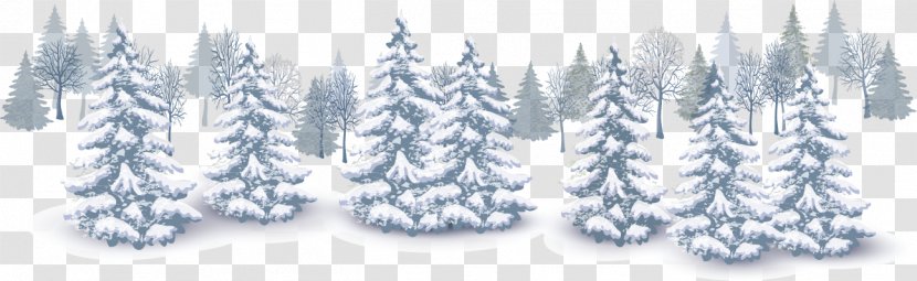 Winter Euclidean Vector Snow - Conifer - Creative Scenery Transparent PNG