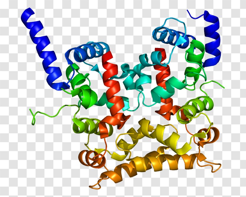 Calcineurin B Homologous Protein 1 Gene EF Hand - Flower - Sodiumglucose Transport Proteins Transparent PNG