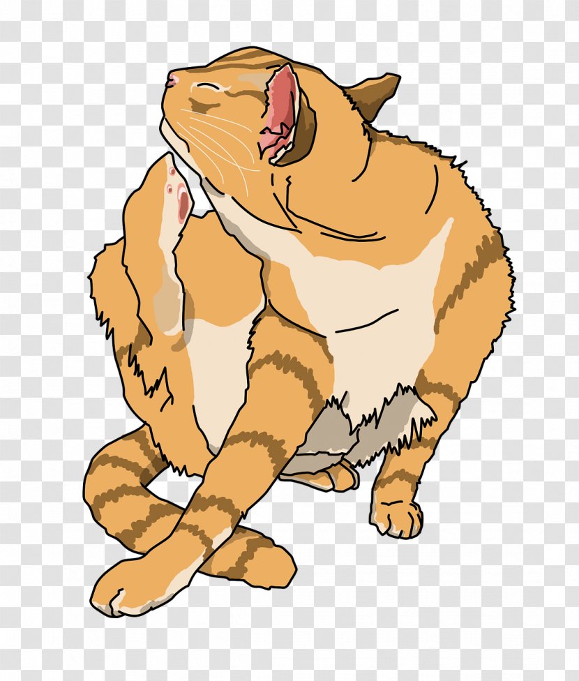 Cat Tiger Drawing - Public Domain Transparent PNG