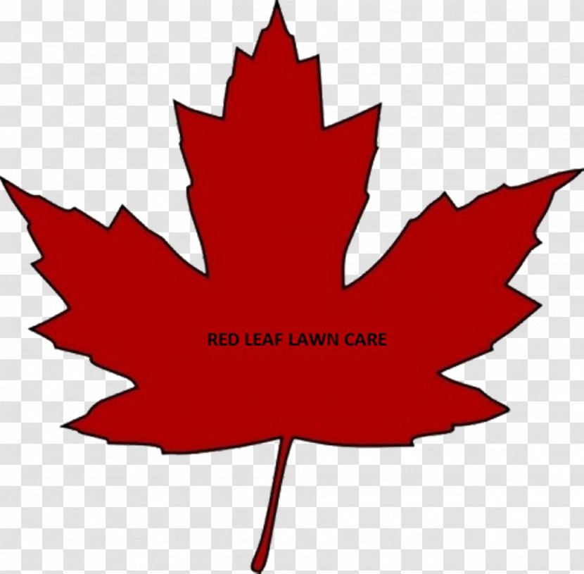 Flag Of Canada Maple Leaf - Stock Photography Transparent PNG