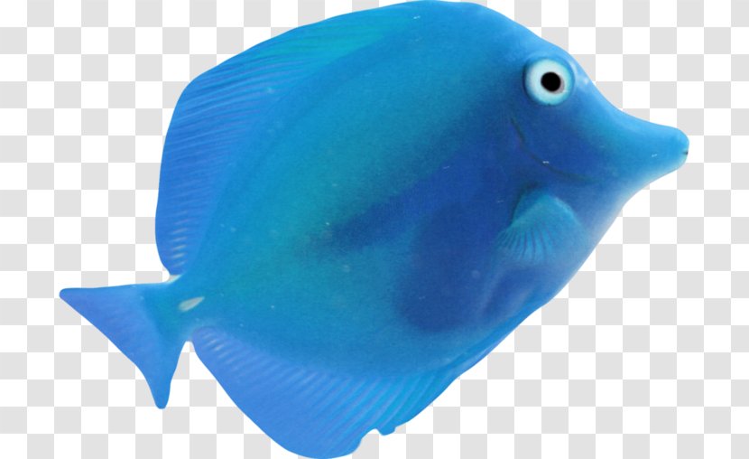 Fish Blue Sea - Turquoise Transparent PNG