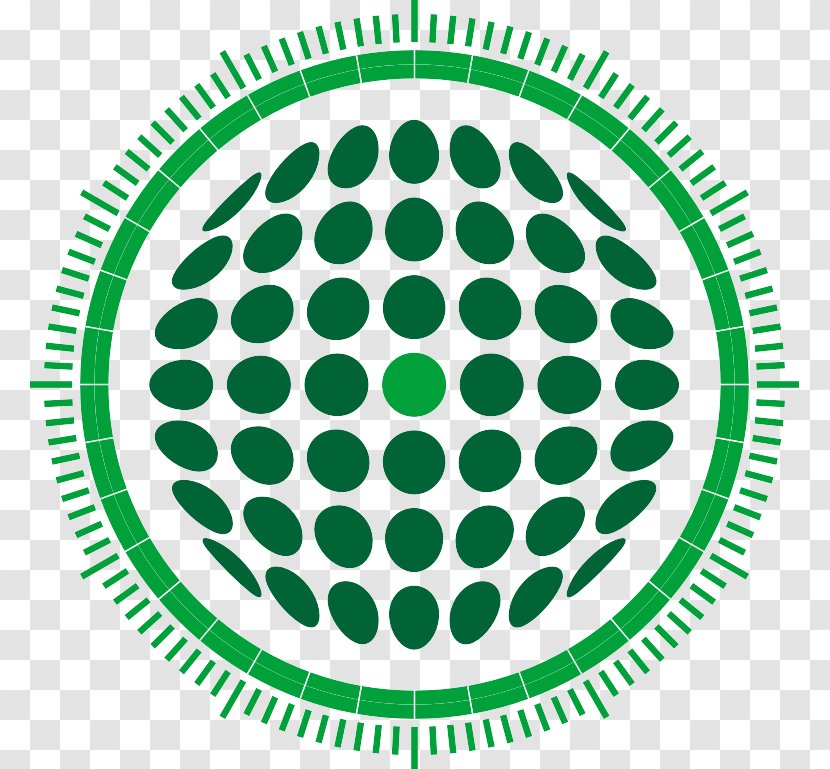 Euclidean Vector Circle - Oval - Green Transparent PNG