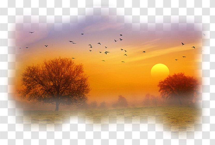 Summer Nature Background - Flock - Wildlife Cloud Transparent PNG