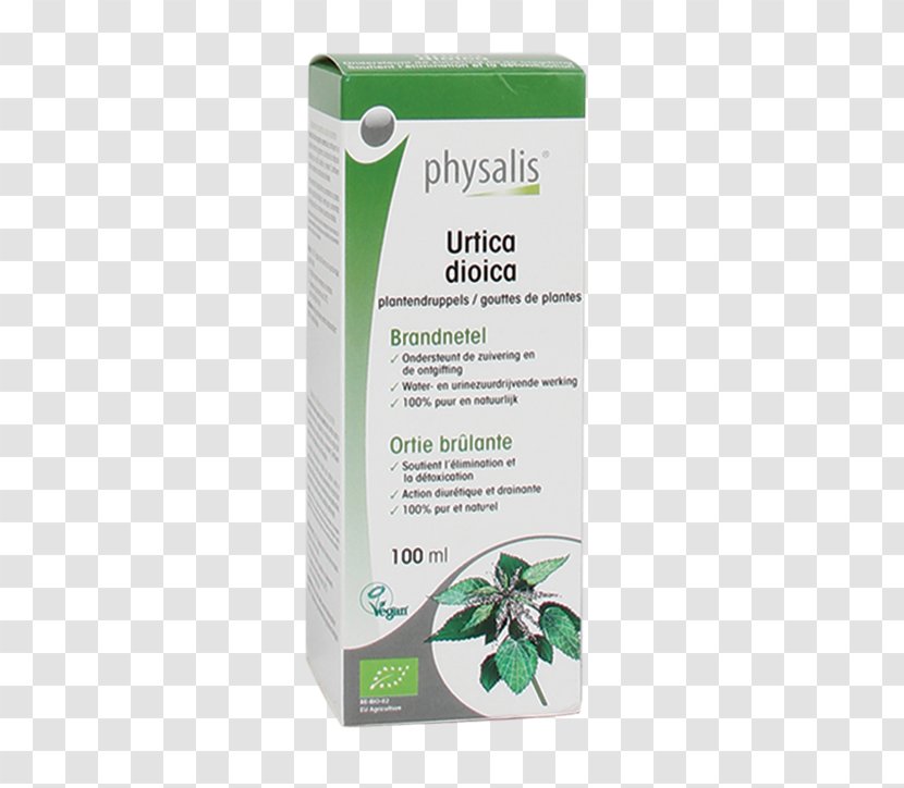 Common Nettle Dietary Supplement Milk Thistle Dioecy Physalis - Milliliter Transparent PNG