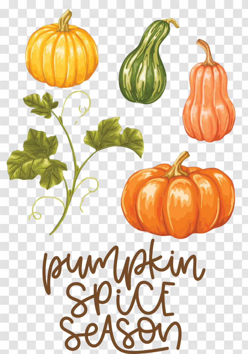 Autumn Pumpkin Spice Season Pumpkin Transparent PNG