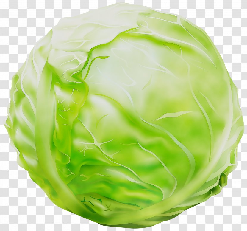 Cabbage Greens - Side Dish Transparent PNG