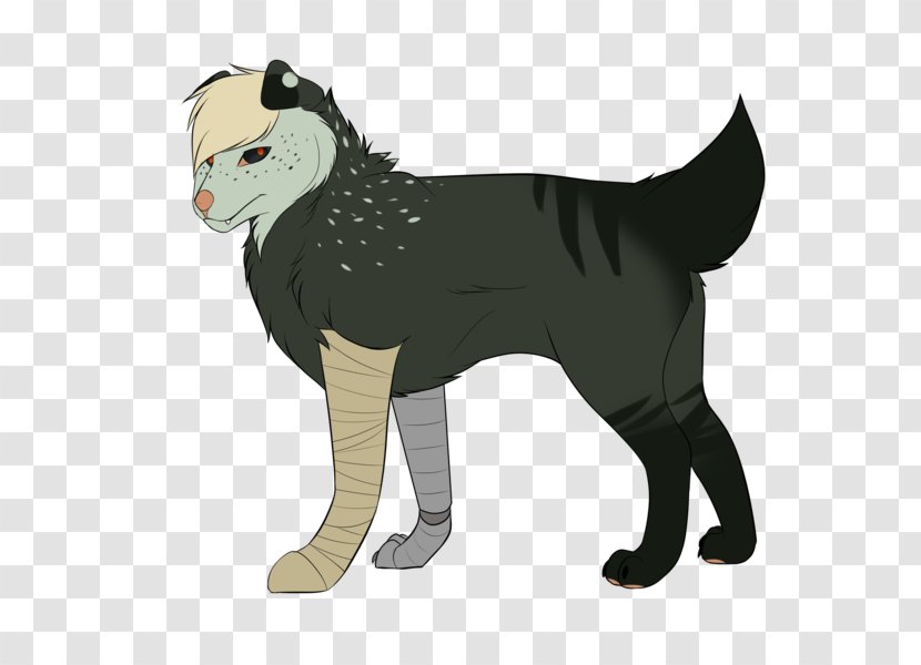 Whiskers Cat Dog Fur - Tail Transparent PNG