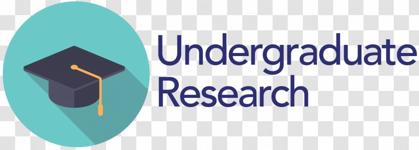 Marketing Research University Of Warwick Institute Undergraduate - Undergra Transparent PNG