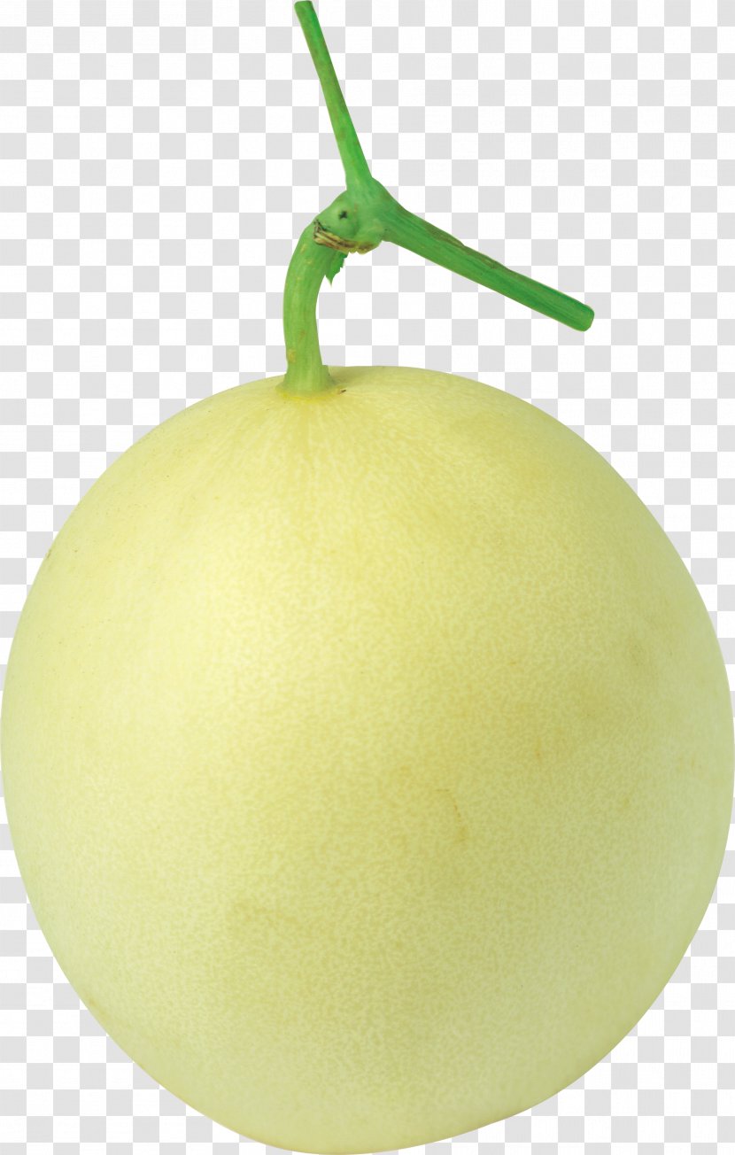Melon Honeydew Food Vegetable Transparent PNG