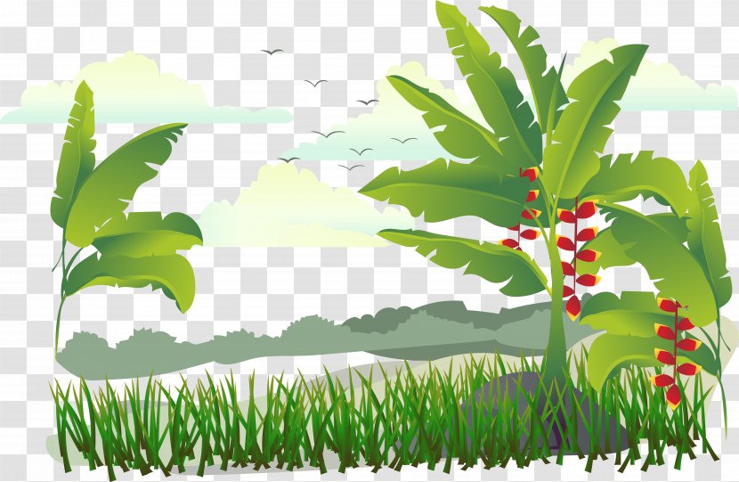 Banana Illustration - Leaf - Island Tree Vector Transparent PNG