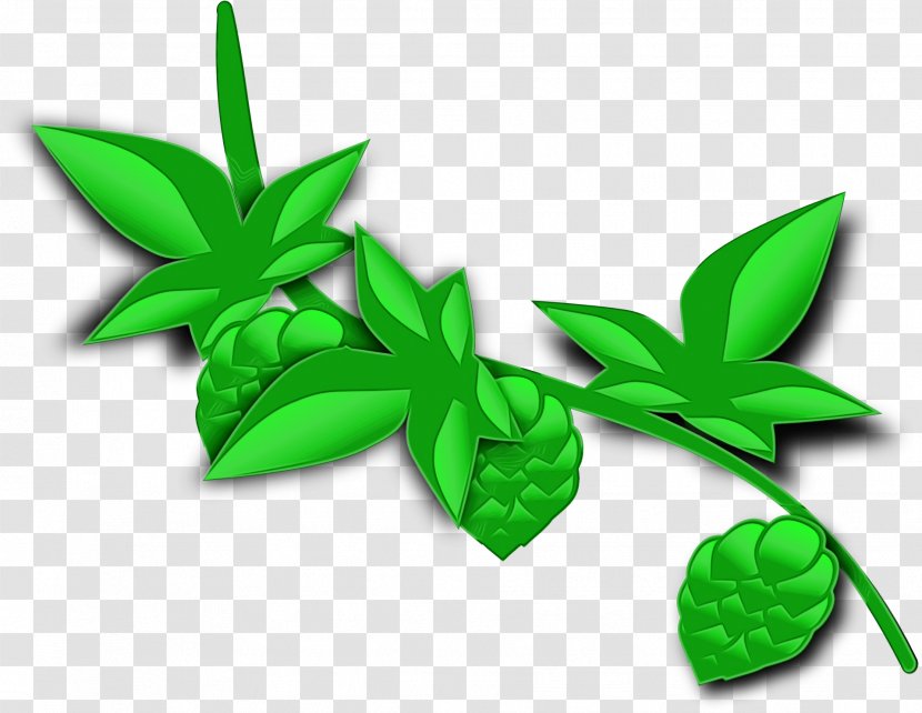 Green Leaf Watercolor - Flower Herbal Transparent PNG