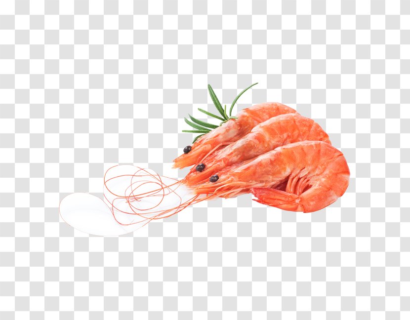 Shrimp Cartoon - Crudo - Lox Transparent PNG