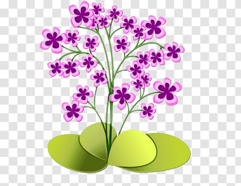 Flower Plant Clip Art Flowering Stem - Watercolor - Petal Wildflower Transparent PNG