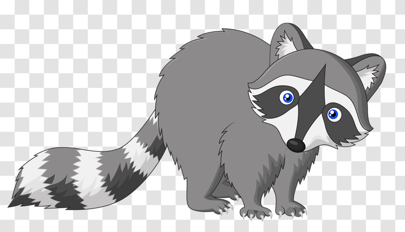 Raccoon Cartoon Drawing - Photography Transparent PNG