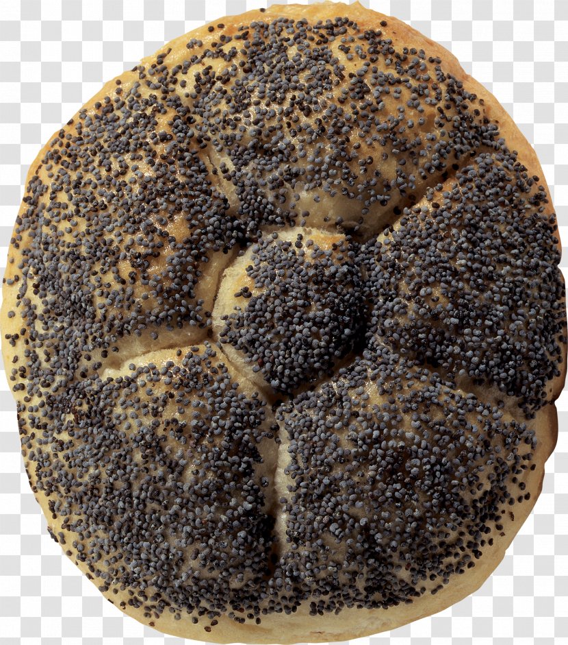 Poppy Flowers Opium Bread Seed - Baked Goods - Image Transparent PNG