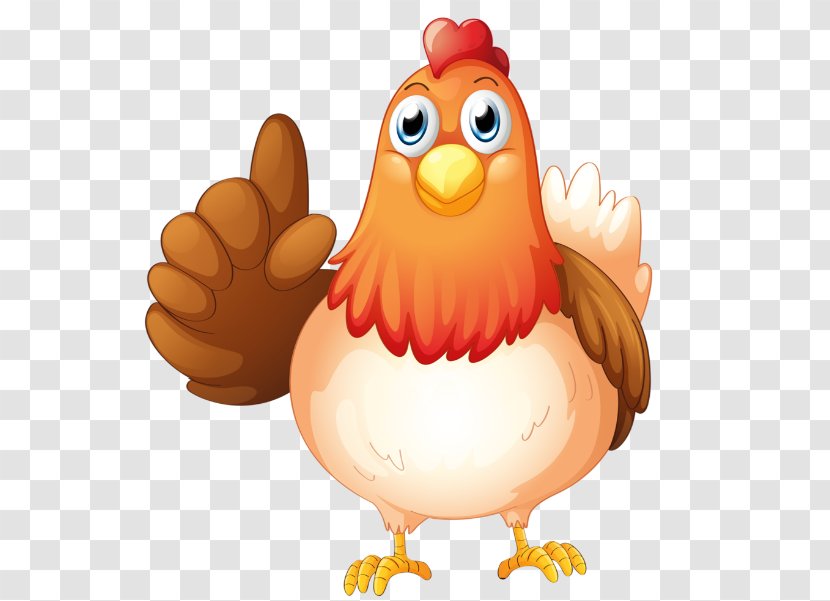 Chicken Royalty-free Clip Art - Galliformes Transparent PNG