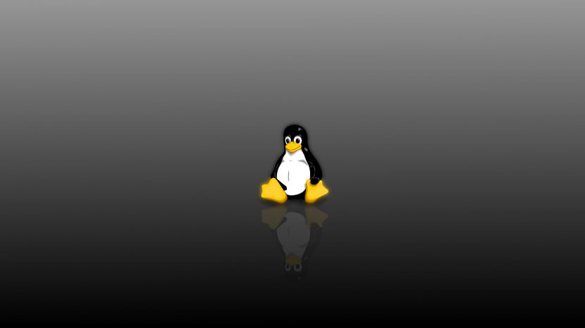 Flightless Bird Penguin Vertebrate Wing - Cdrom - Linux Transparent PNG