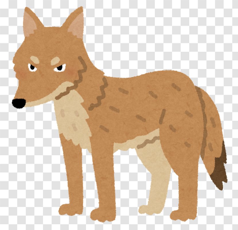 Coyote Dog Search Engine Optimization Dhole Red Fox Transparent PNG