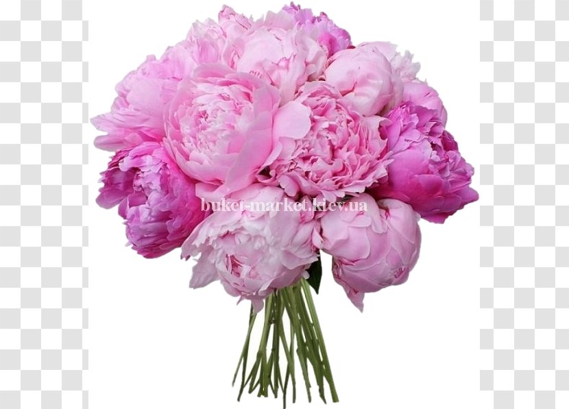Flower Bouquet Peony Wedding Roz-Market - Plant Transparent PNG
