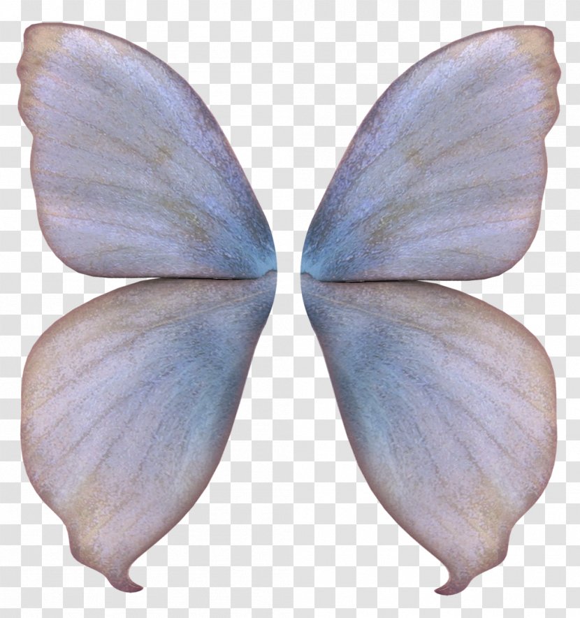 Fairy YouTube Clip Art - Moths And Butterflies - Dragonfly Transparent PNG