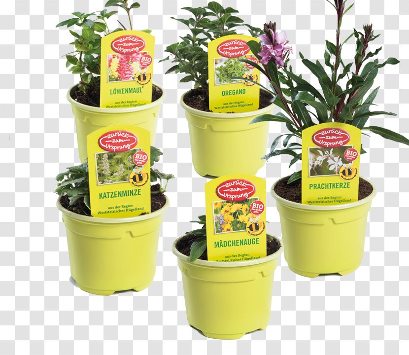 Herb Flowerpot Product - Kind Garten Transparent PNG