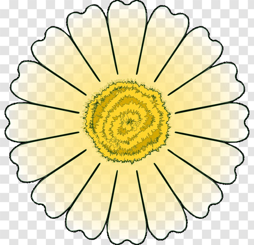 Flower Petal Common Daisy Clip Art - Color - Free Images Transparent PNG