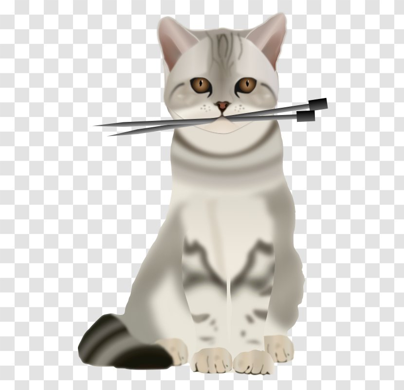 Persian Cat Knitting Needle Kitten Clip Art - Carnivoran - Big Transparent PNG
