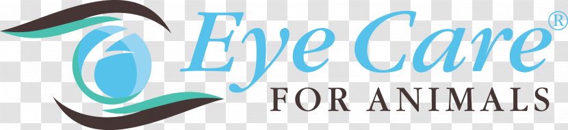 Veterinarian Ophthalmology Eye Care For Animals Advanced Veterinary Pet+E.R. - Text - EYE CARE Transparent PNG