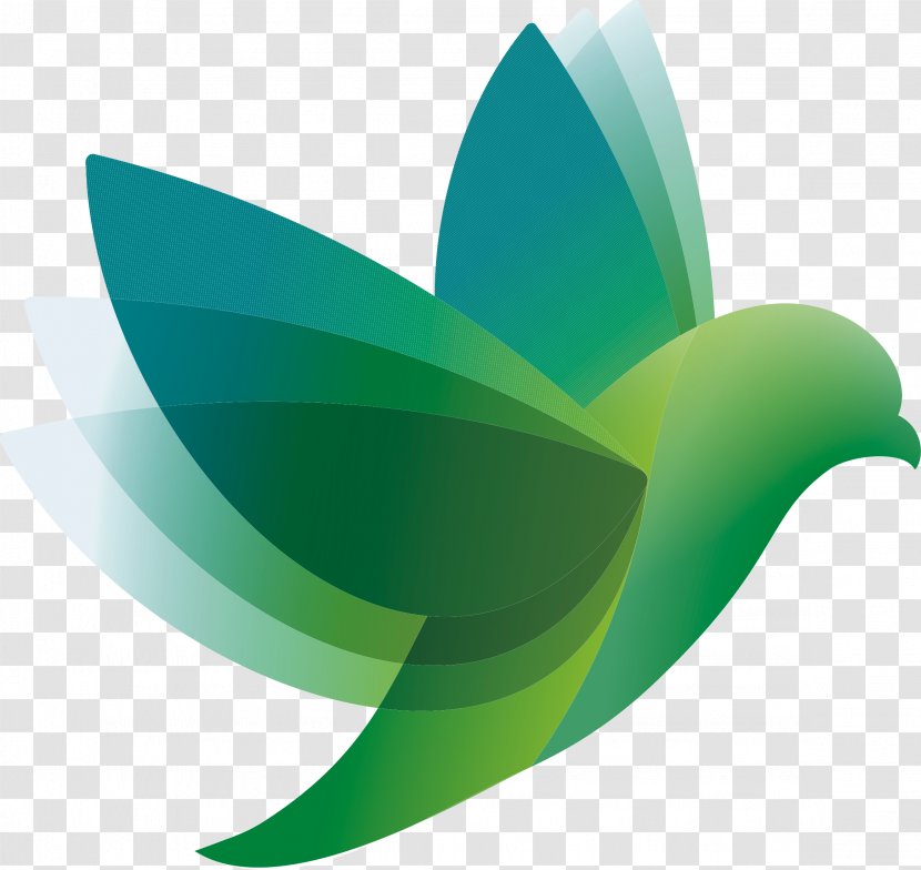 Bird Logo - Leaf - Vector Green Transparent PNG