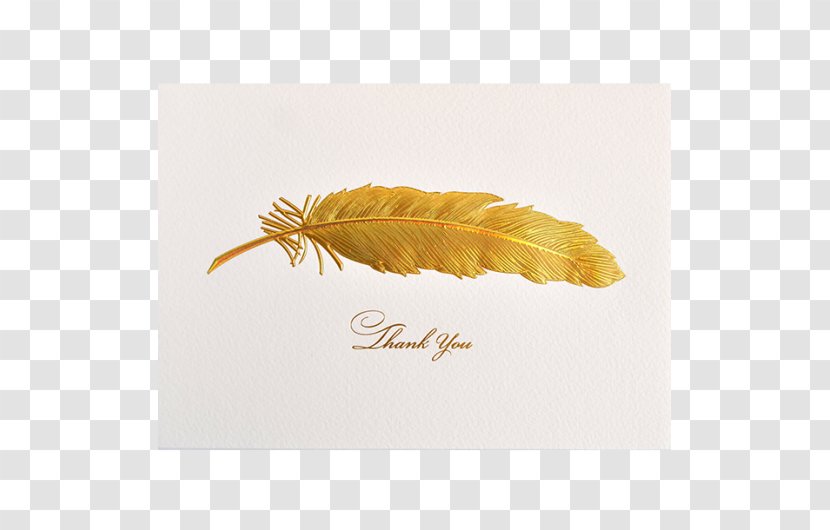 Feather Stationery Greeting & Note Cards Iridescence - Quill Transparent PNG