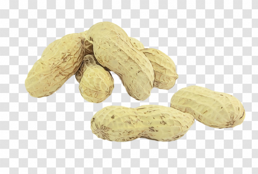 Vegetarian Cuisine Peanut Commodity Biscuit Vegetarianism Transparent PNG