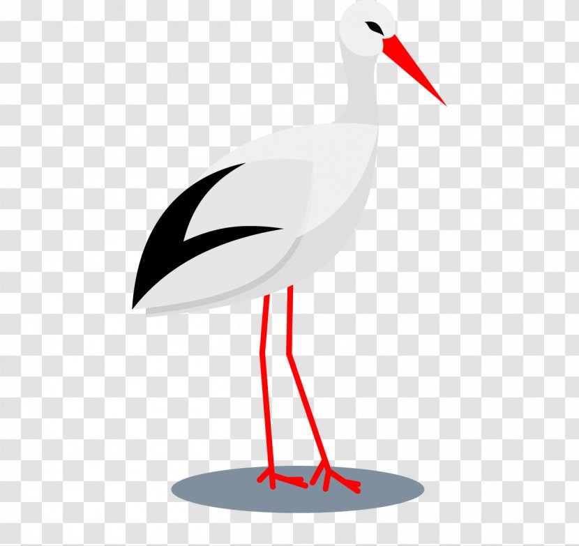 Bird Ciconia Beak Crane - Like - Vector Illustration Stork Transparent PNG