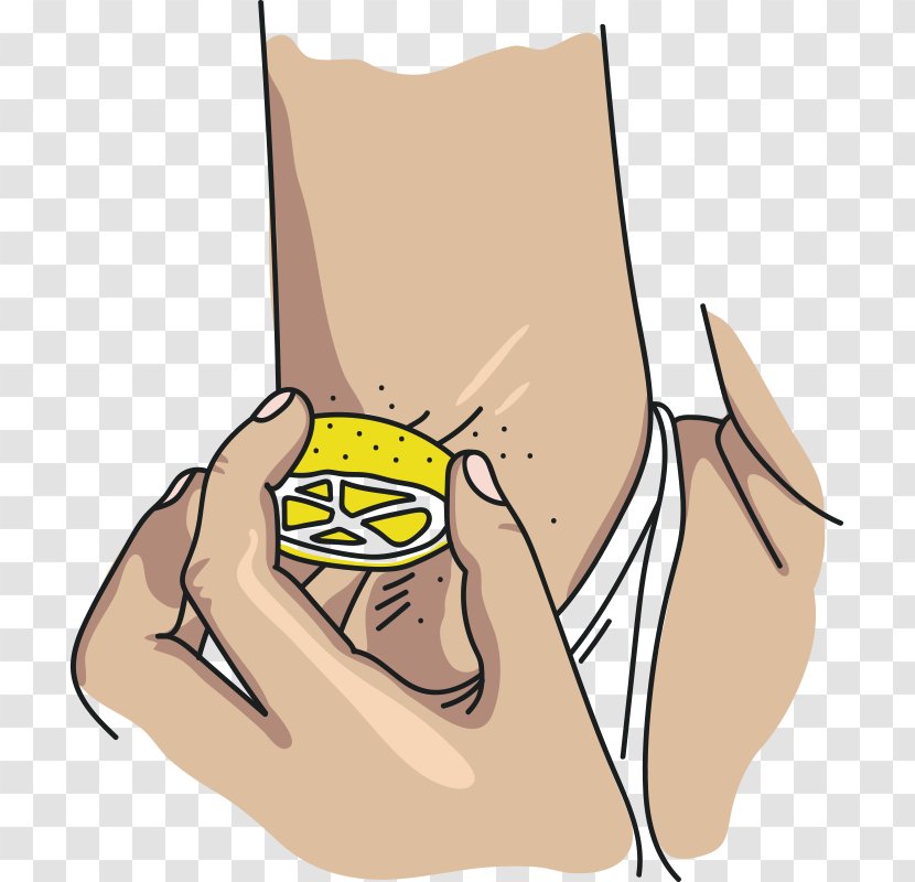 Hangover Brandy Perspiration Drinking Food - Cartoon - Shakshuka Transparent PNG