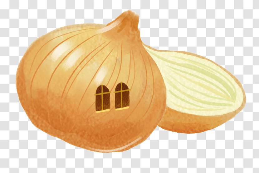 Pumpkin Calabaza Onion Vegetable - Cartoon Vegetables Transparent PNG