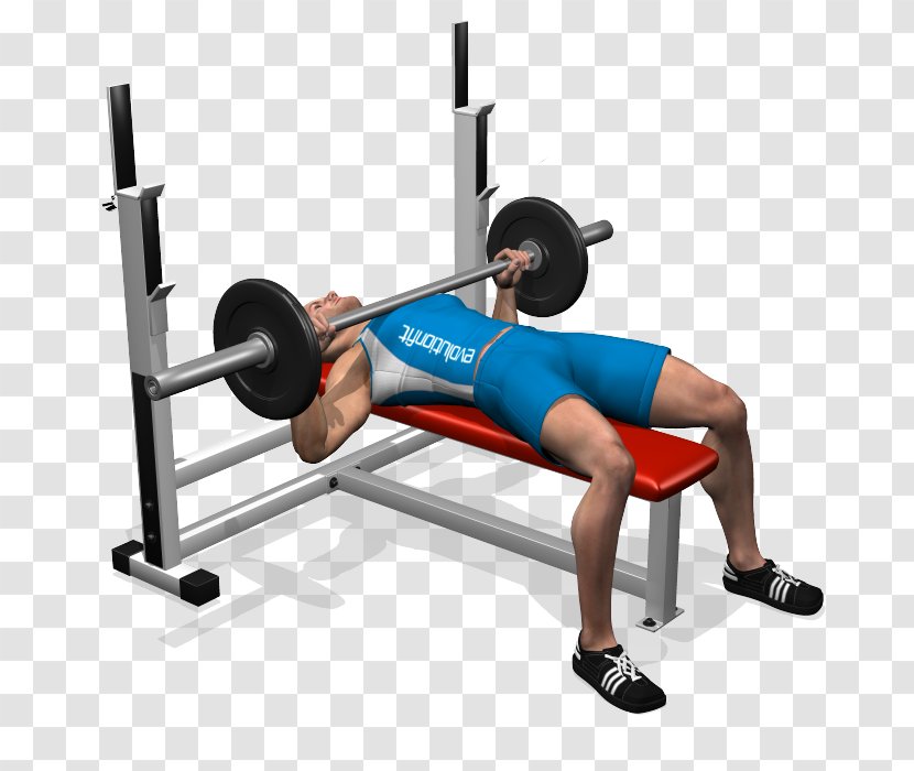 Bench Press Barbell Exercise Weight Training - Flower Transparent PNG