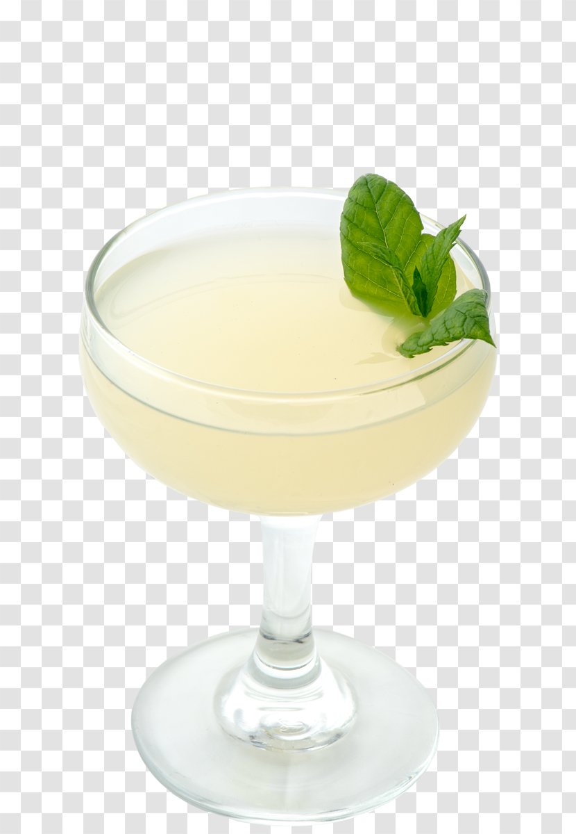 Cocktail Garnish Daiquiri Gimlet Mint Julep Martini - Drink Transparent PNG