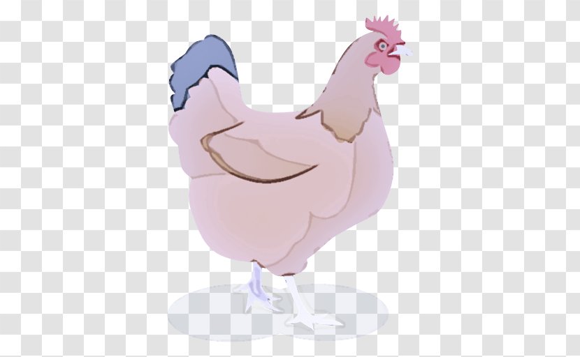 Chicken Rooster Cartoon Bird Pink - Beak - Poultry Transparent PNG