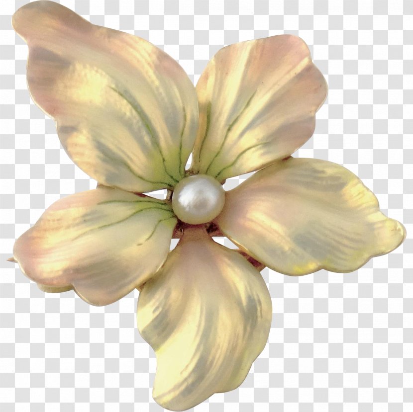 Jewellery Flower Petal Enamel Pearl - Cut Flowers - Gold Floral Transparent PNG