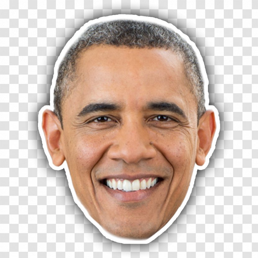 Barack Obama President Of The United States Democratic Party Federal Government - Professional Transparent PNG