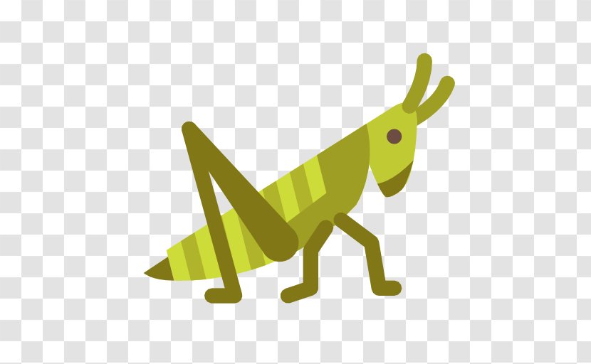 Clip Art Grasshopper - Green Transparent PNG