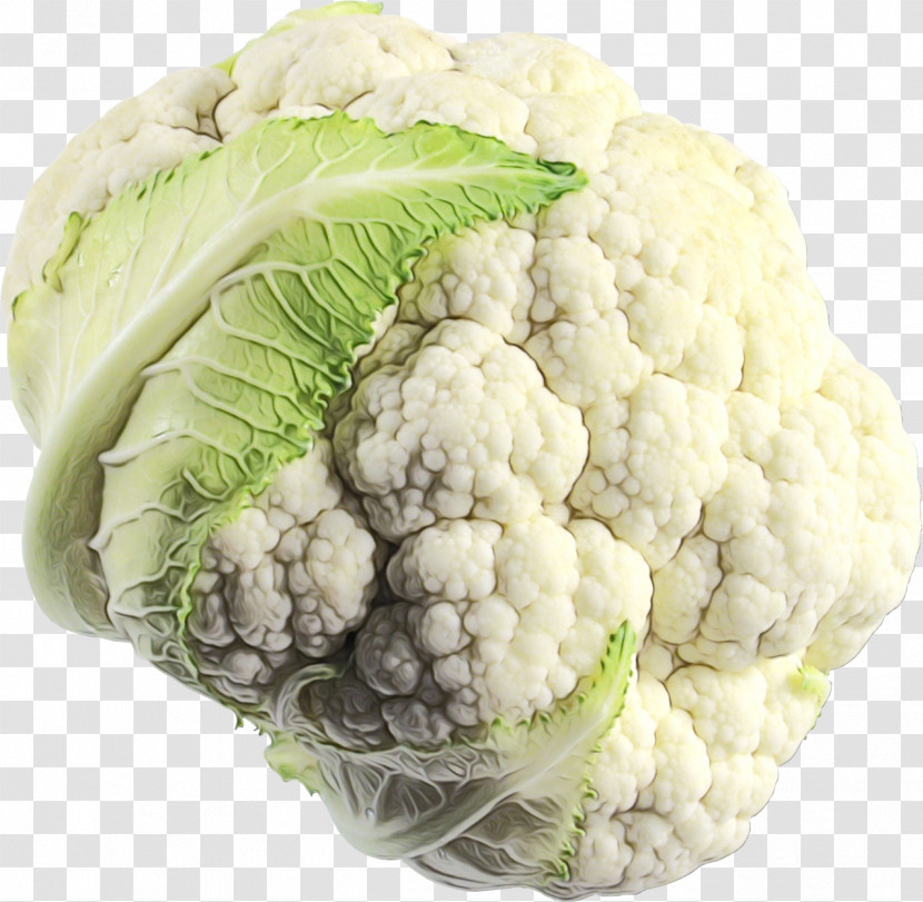 Cauliflower Transparent PNG