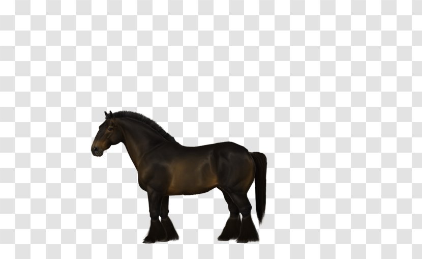 Mane Stallion Pony Mustang Mare - Rein Transparent PNG