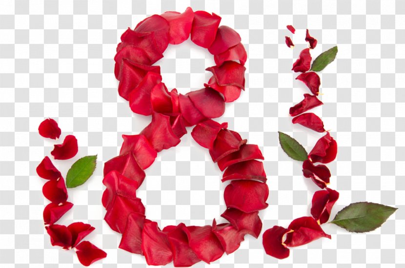 Moldova March 8 International Womens Day Mu0103ru021biu0219or Woman - Flower - Color Petals Collage Character Transparent PNG