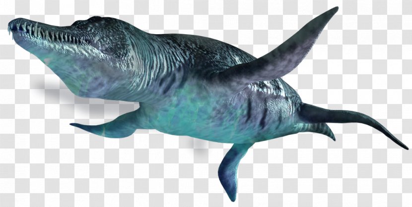 Zoo Tycoon: Dinosaur Digs Liopleurodon Plesiosauria Elasmosaurus Ophthalmosaurus - Whales Dolphins And Porpoises - Dino Transparent PNG