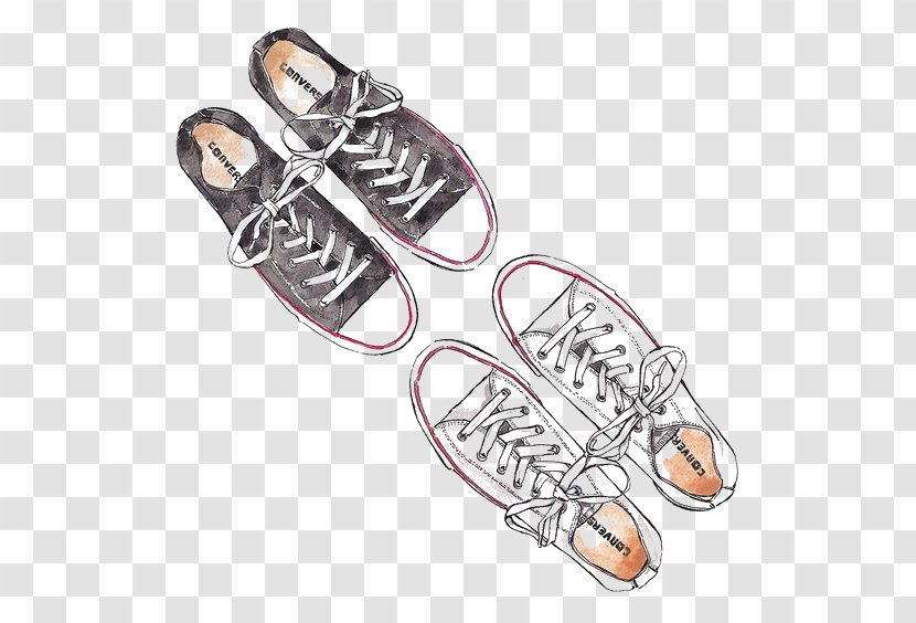 Plimsoll Shoe Converse Drawing - Canvas - Hand-painted Shoes Transparent PNG