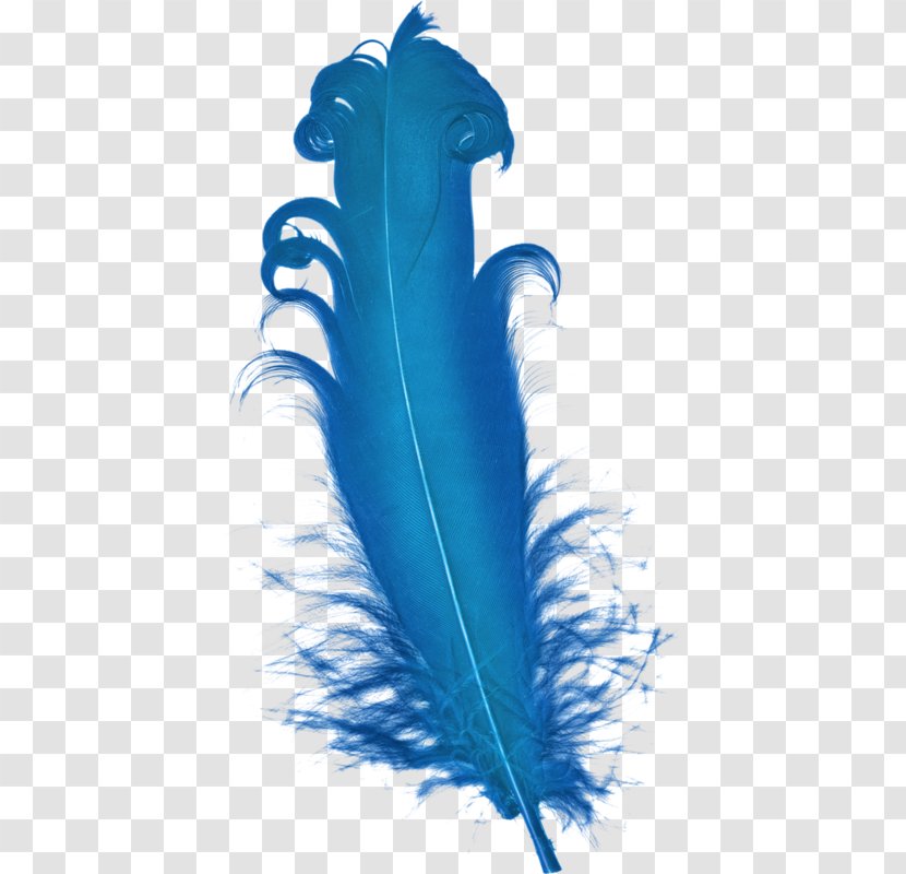 Feather Blue Plumage - Resource Transparent PNG