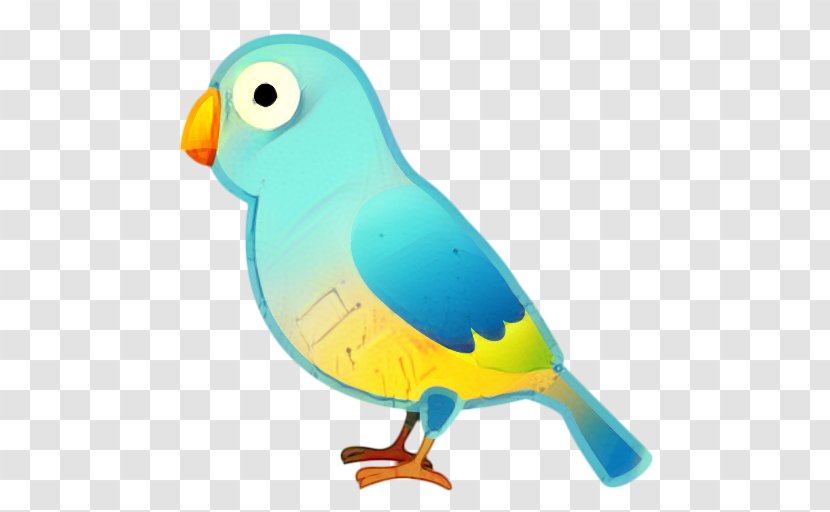 Hornbill Bird - Perching Toy Transparent PNG