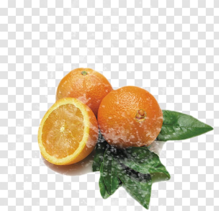 Clementine Tangerine Mandarin Orange Grapefruit Rangpur - Bitter Transparent PNG